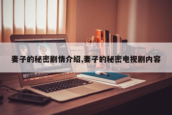 妻子的秘密剧情介绍,妻子的秘密电视剧内容