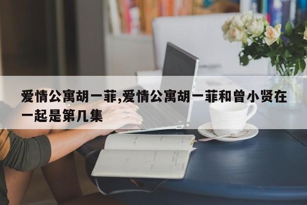 爱情公寓胡一菲,爱情公寓胡一菲和曾小贤在一起是第几集