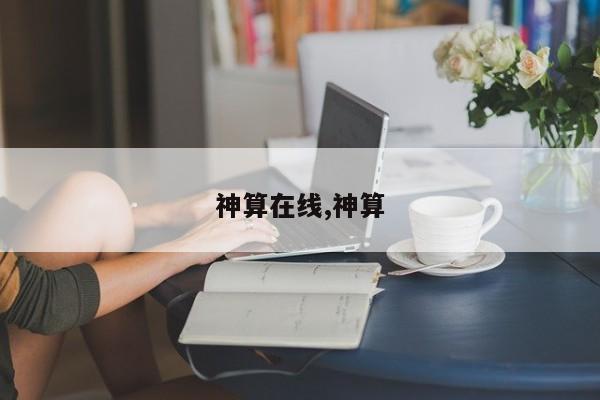 神算在线,神算