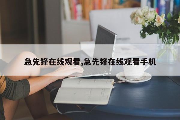 急先锋在线观看,急先锋在线观看手机