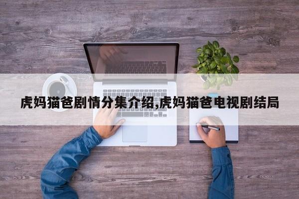 虎妈猫爸剧情分集介绍,虎妈猫爸电视剧结局