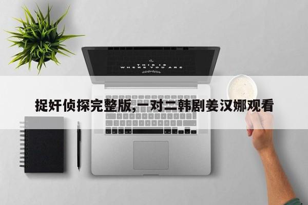 捉奸侦探完整版,一对二韩剧姜汉娜观看