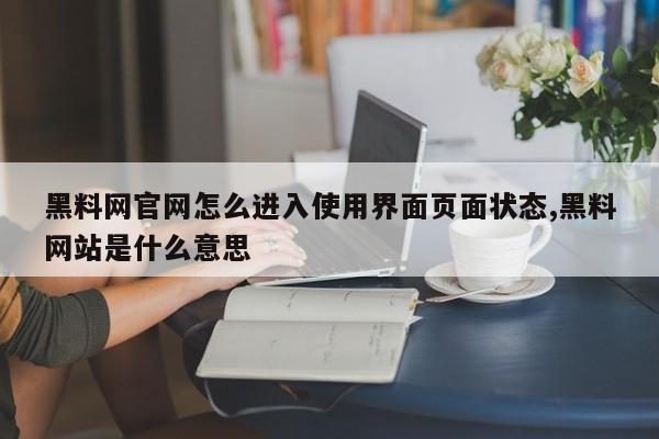 黑料网官网怎么进入使用界面页面状态,黑料网站是什么意思