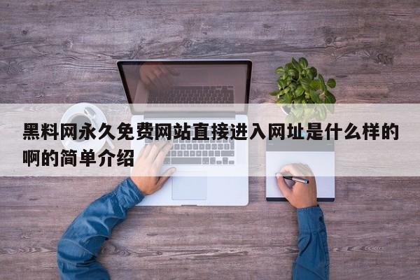 黑料网永久免费网站直接进入网址是什么样的啊的简单介绍