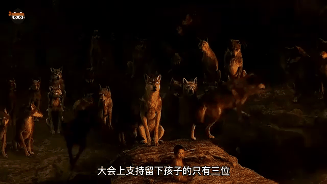 森林之子毛克利在线观看,森林之子毛克利国语电影免费观看完整版