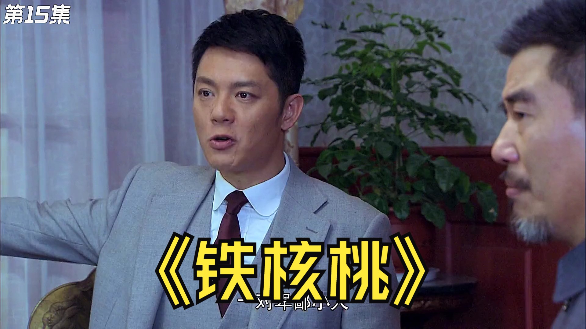 铁核桃剧情介绍,铁核桃的剧情介绍