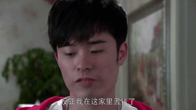 老爸的爱情剧情介绍,老爸的爱情电视剧百度百科