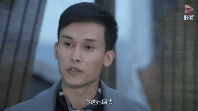 黑狐分集剧情介绍,黑狐 电视剧大结局
