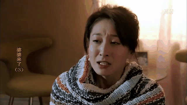 婆婆来了剧情,婆婆来了剧情简介及演员表