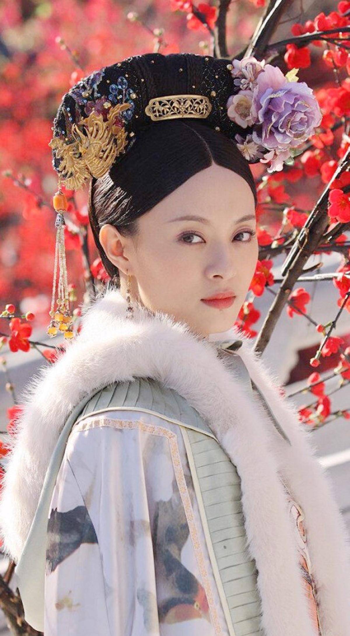 甄环传分集介绍,甄环传分集剧情介绍