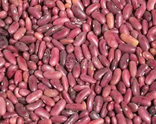 豆娘剧情分集介绍,豆娘剧情介绍第40集