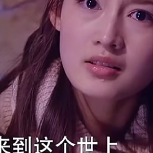电视连续剧璀璨人生,电视连续剧璀璨人生剧情介绍