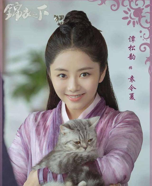 锦心似玉电视剧剧情介绍,锦心似玉电视剧剧情介绍27