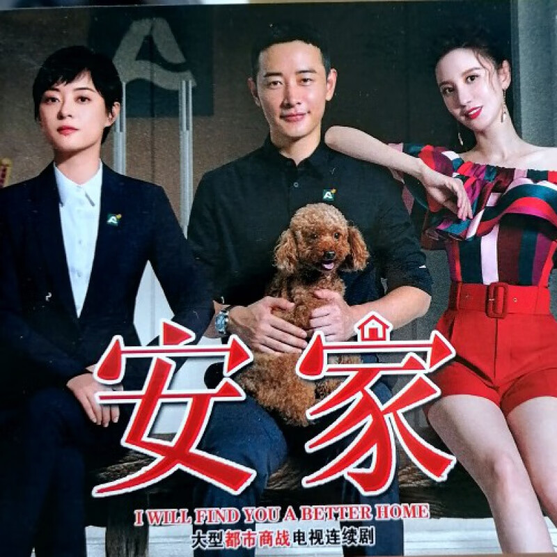 安家电视剧剧情,安家电视剧剧情介绍大结局