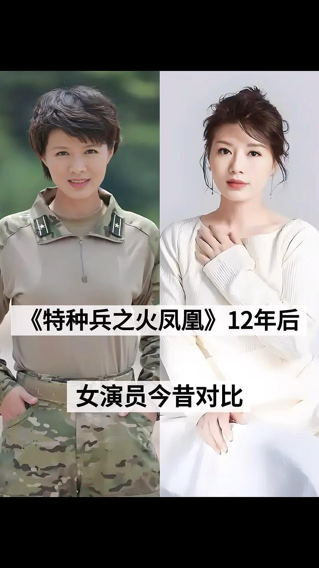 我是特种兵之火凤凰分集剧情介绍,电视剧我是特种兵之火凤凰剧情介绍