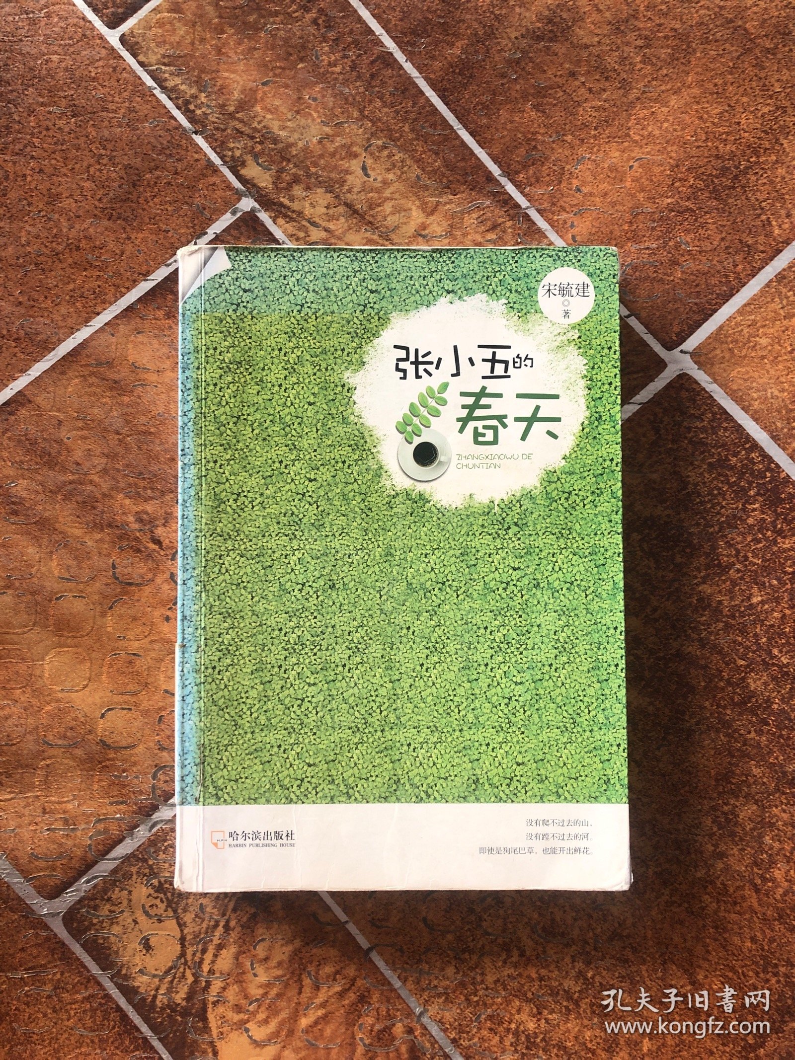张小五的春天,张小五的春天第9集