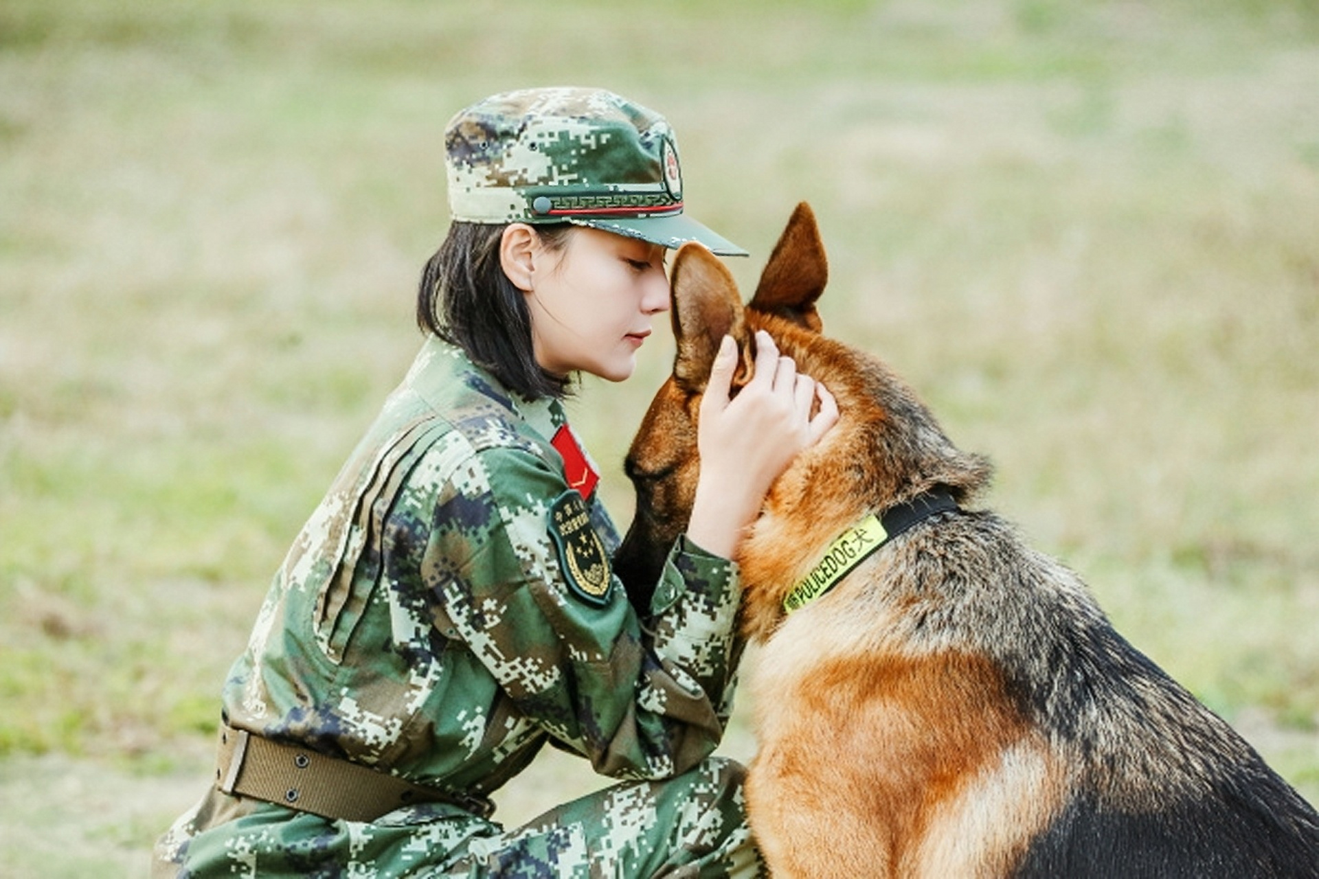 神犬奇兵剧情介绍,电视剧神犬奇兵剧情