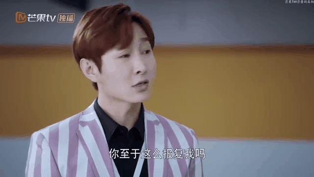 舒克与桃花,舒克与桃花电视剧免费观看完整版