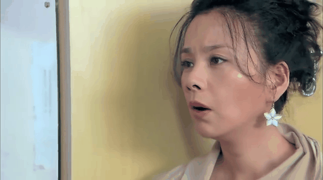 那金花和她的女婿大结局,那金花和她的女婿角色介绍