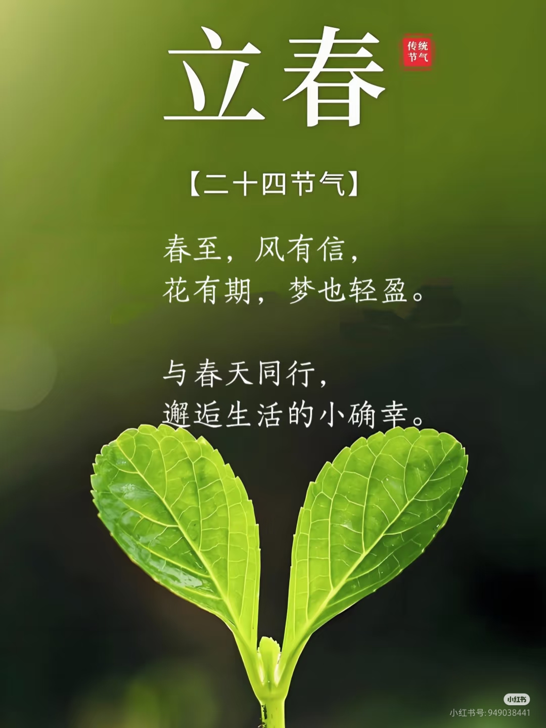 立春剧情,立春电影结局