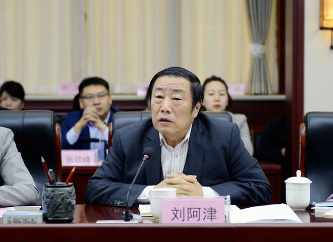 大义秦商,大义秦商电视剧全集