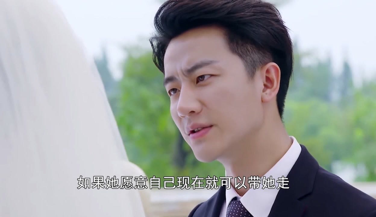 亲爱的翻译官电视剧,亲爱的翻译官电视剧演员表