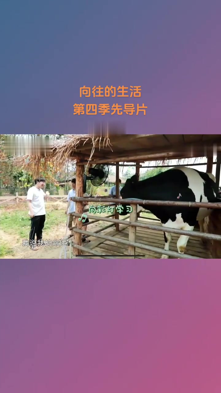 包含向往的生活第四季免费观看完整版的词条