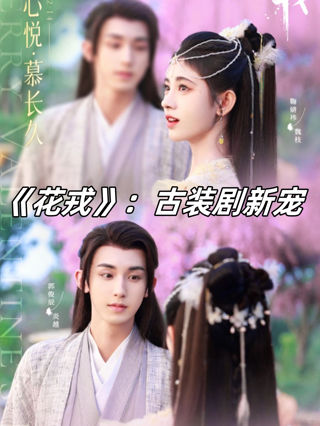 花戎分集剧情介绍,花戎电视剧男女主是谁