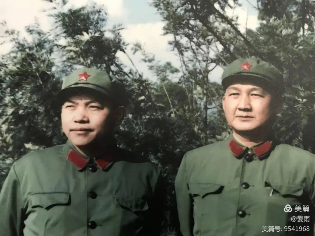 九死一生剧情介绍,九死一生电视剧主演是谁