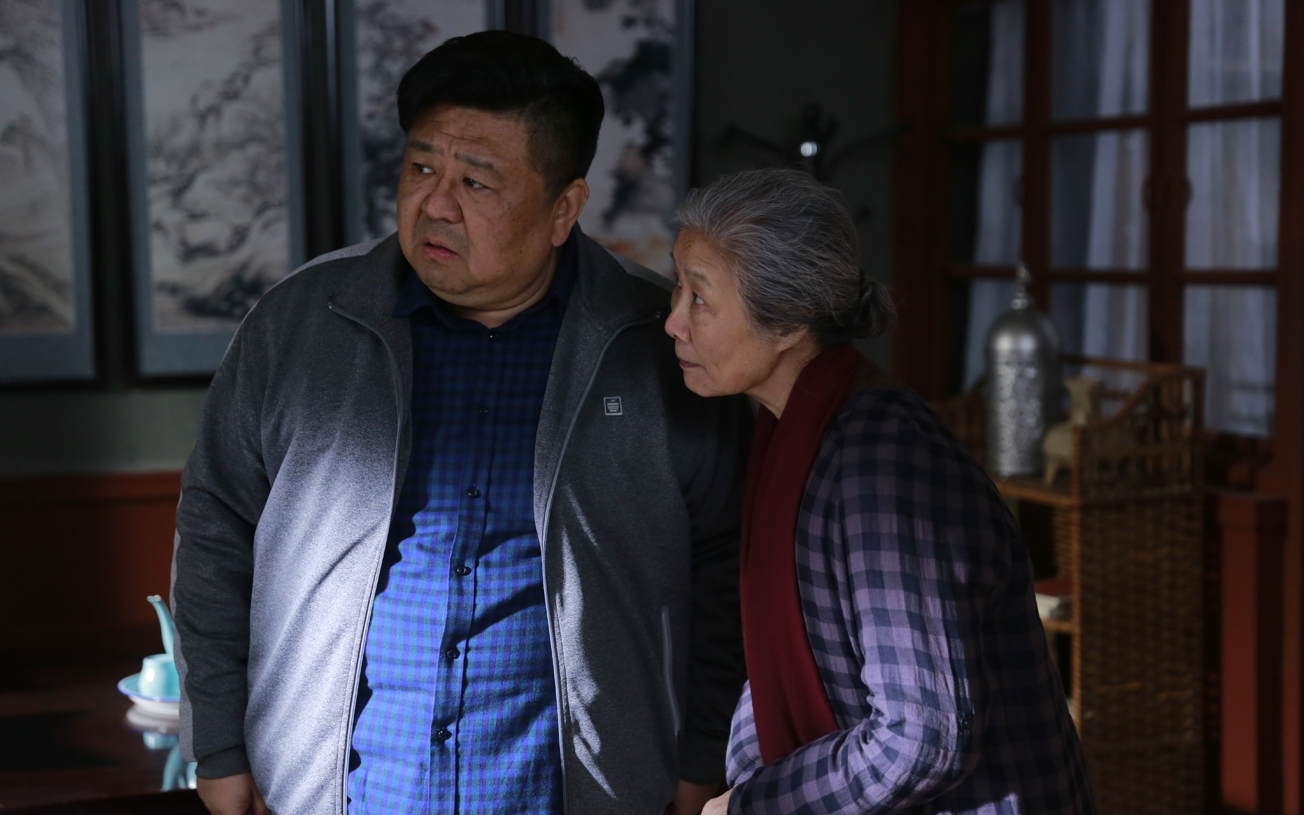 远方的家剧情介绍,远方的家剧情介绍大结局