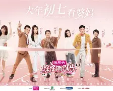 婆婆也是妈分集介绍,婆婆也是妈电视剧免费观看西瓜影院