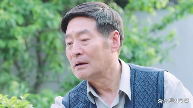 电视剧咱家,电视剧咱家那些事剧情介绍