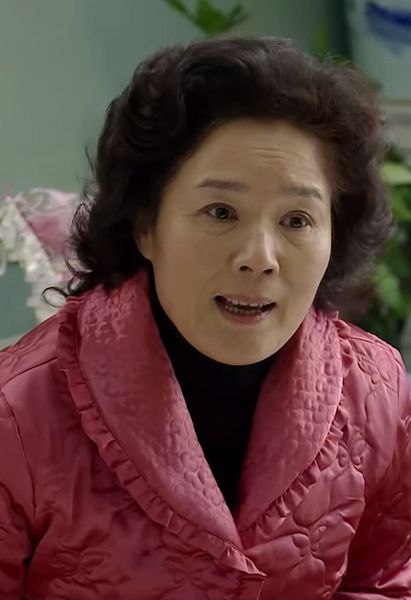 电视剧小爸爸剧情介绍,电视剧小爸爸剧情分集介绍