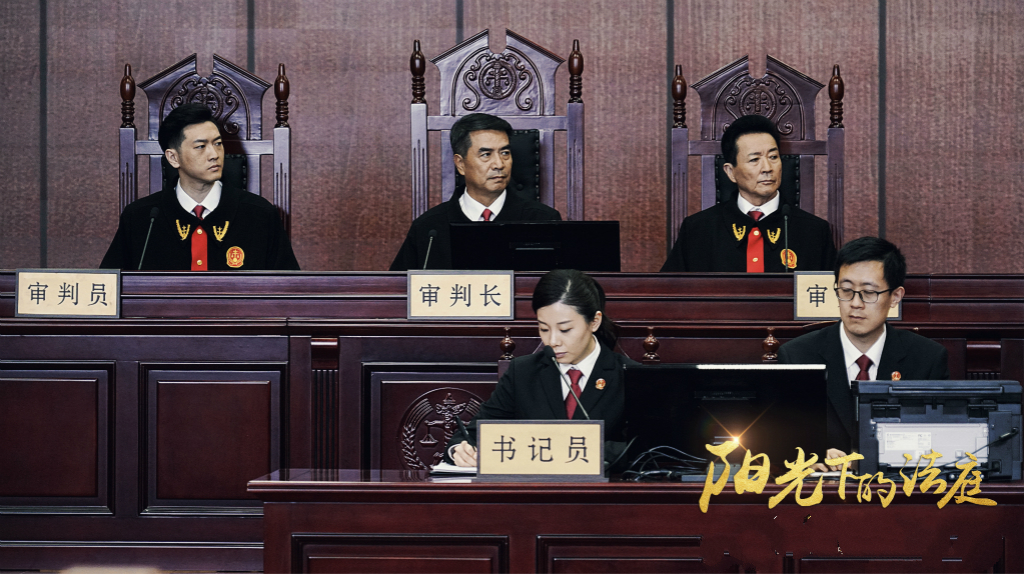 阳光下的法庭剧情介绍,阳光下的法庭演员表_全部演员介绍