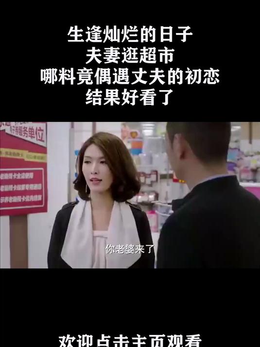 生逢灿烂的日子剧情介绍,生逢灿烂的日子 电视剧演员