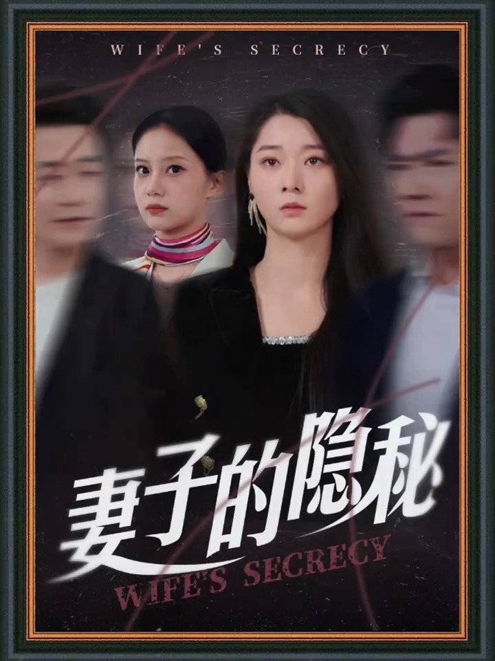 妻子的秘密剧情分集介绍,电视剧妻子的秘密剧情介绍