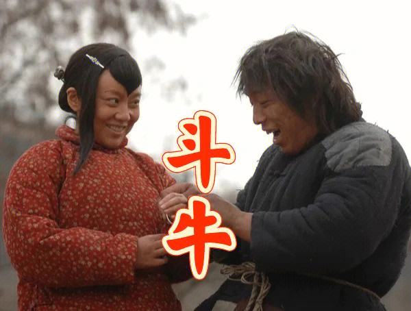 电影斗牛在线观看,电影斗牛在线观看免费版高清