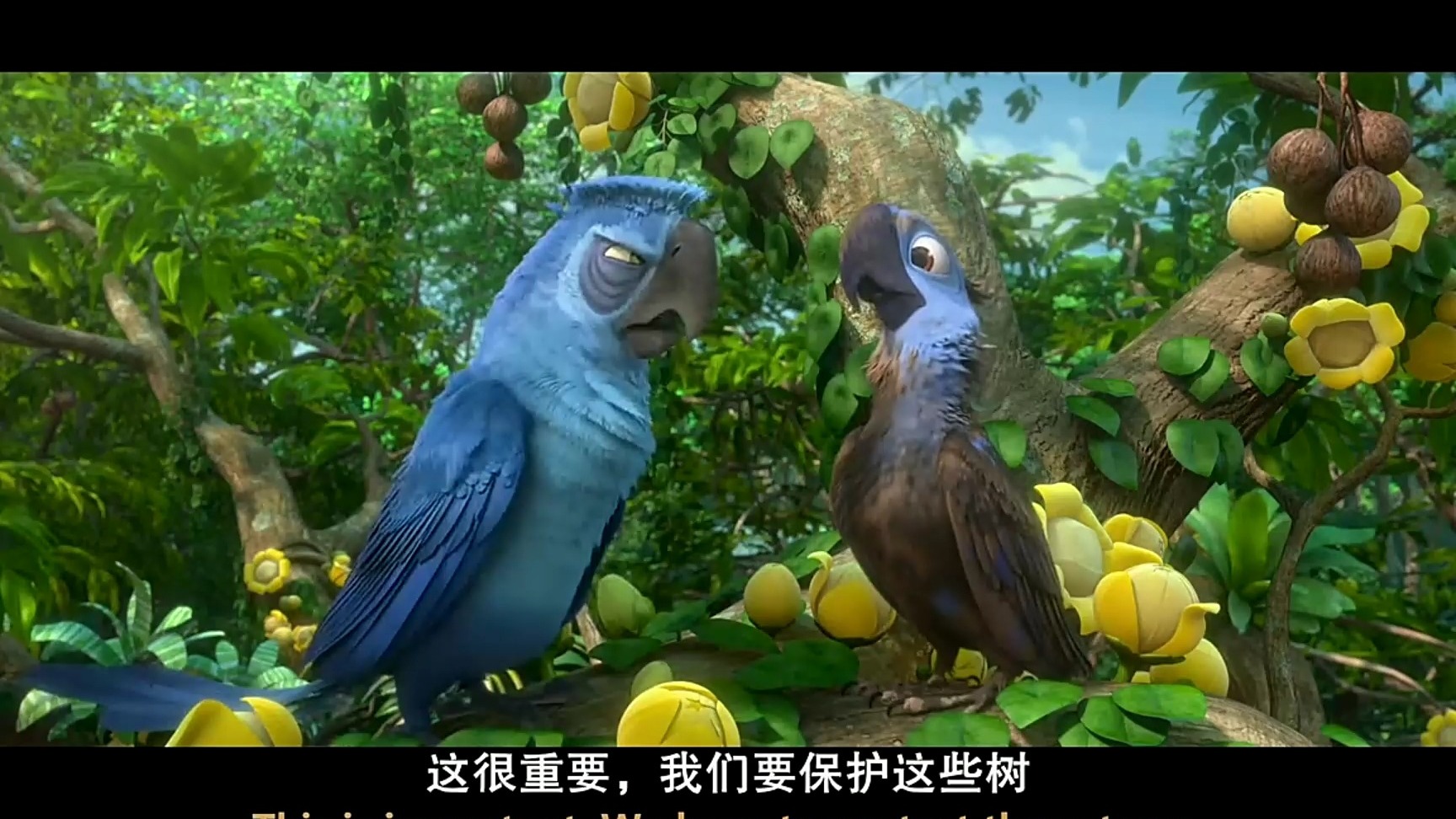 里约大冒险在线观看,里约大冒险在线观看高清