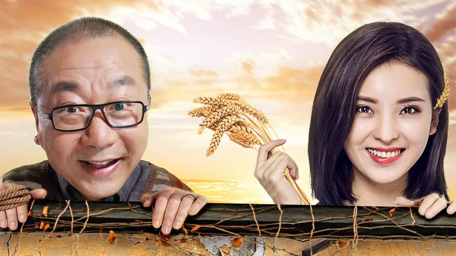乡亲乡爱电视剧,乡亲乡爱电视剧剧情介绍