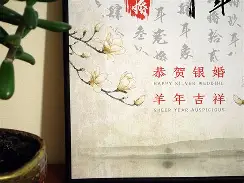 银婚全集在线观看,银婚电视剧全集免费剧情介绍