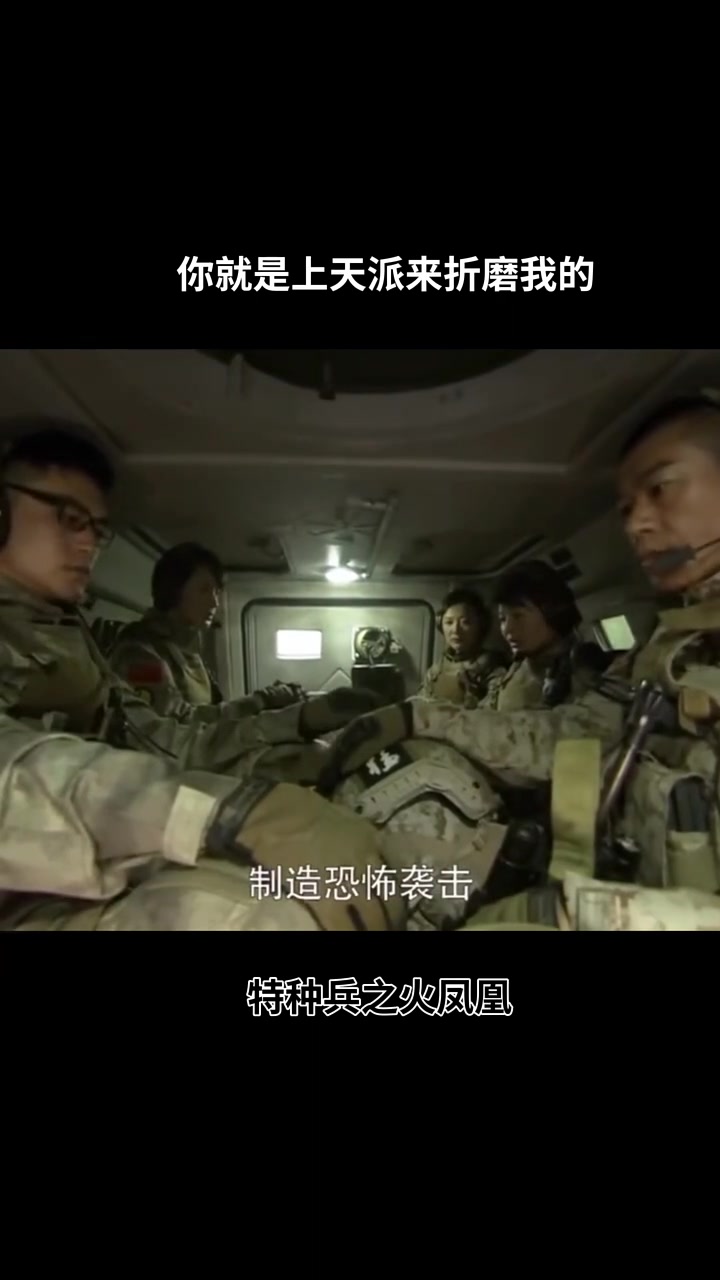 特种兵火凤凰62全集,特种兵火凤凰全集完整版