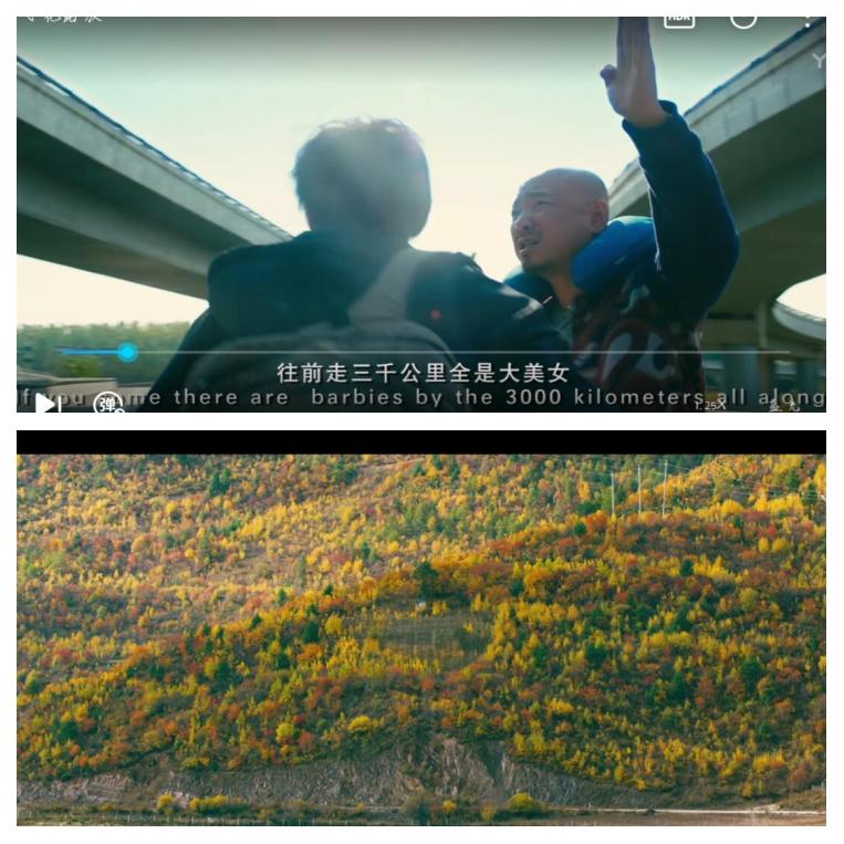 心花路放在线观看完整版的简单介绍