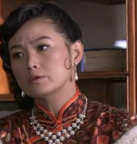 梨花泪剧情介绍,梨花泪电视剧大结局