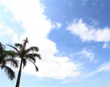 羽化晴天全集,羽化晴天全集电视剧
