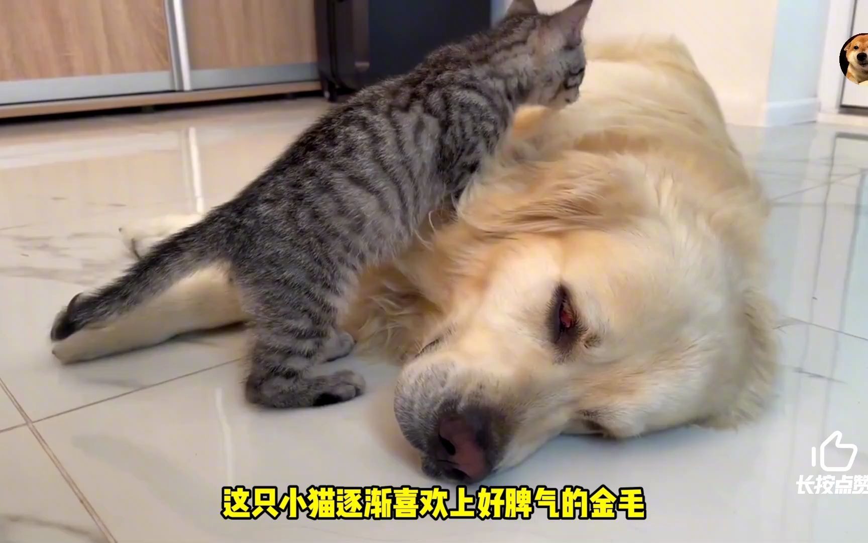 把爱抢回来,把爱抢回来电视剧