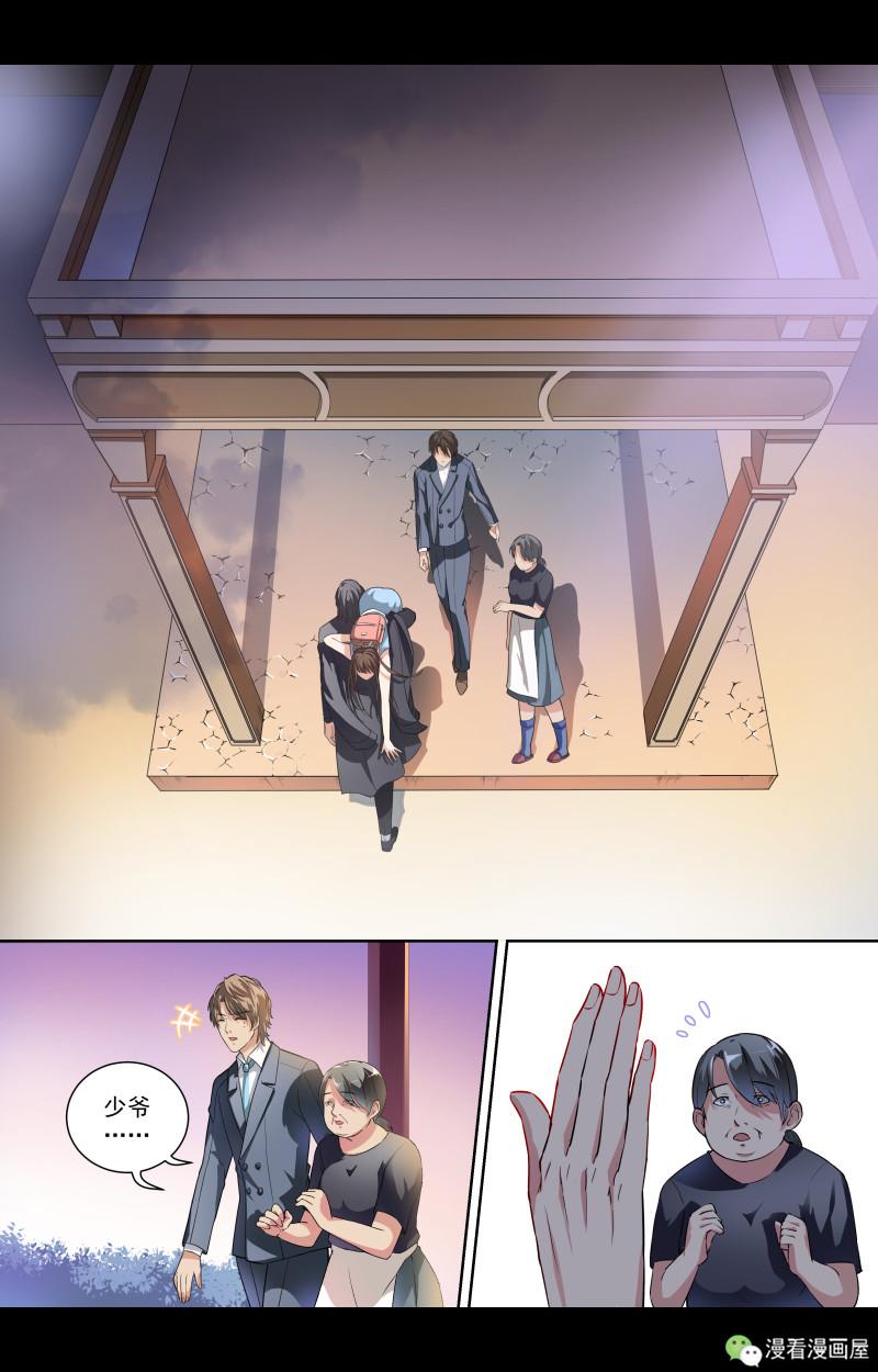 把爱抢回来,把爱抢回来电视剧
