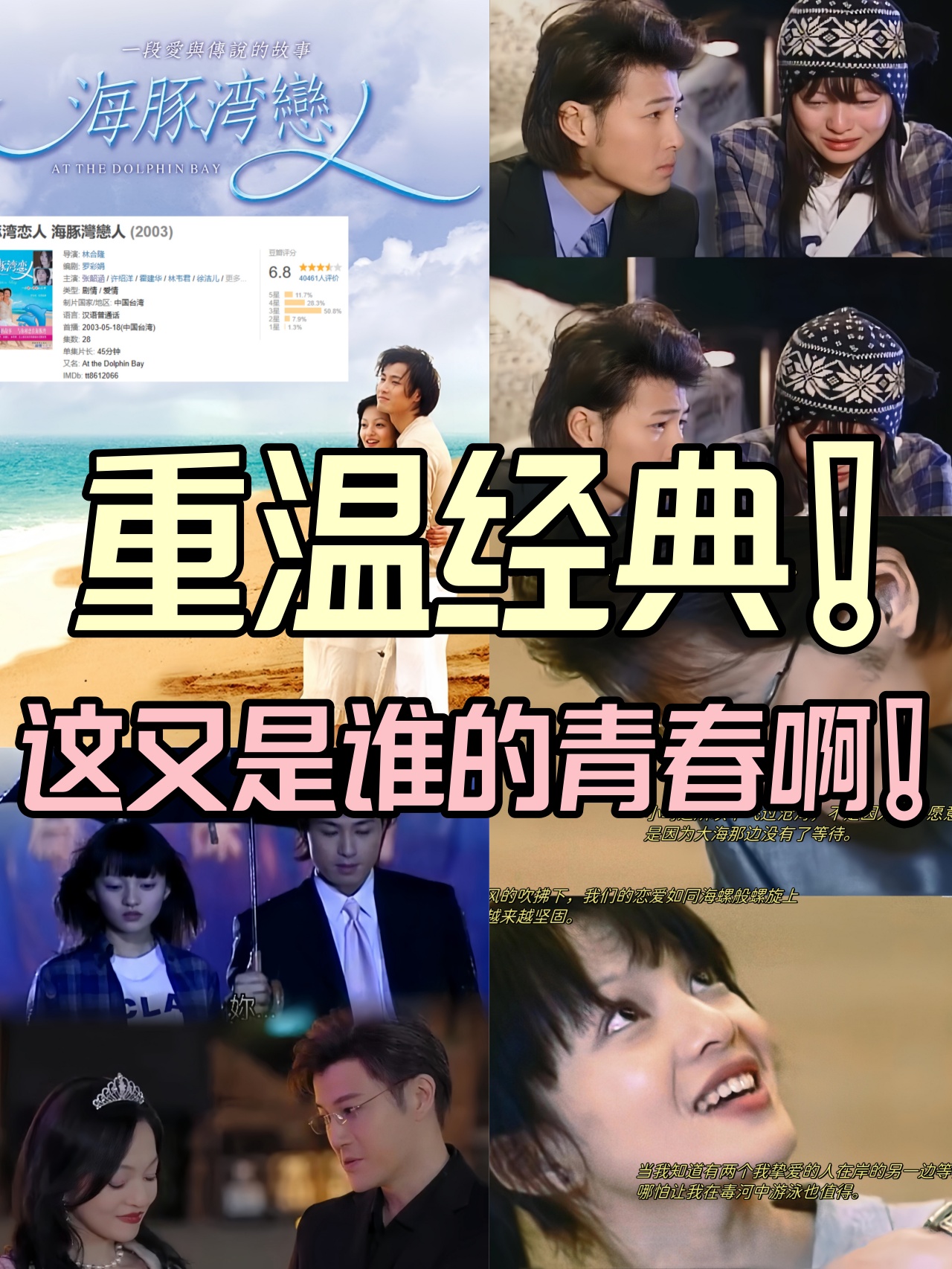 海豚湾恋人分集剧情,海豚湾恋人的剧情介绍