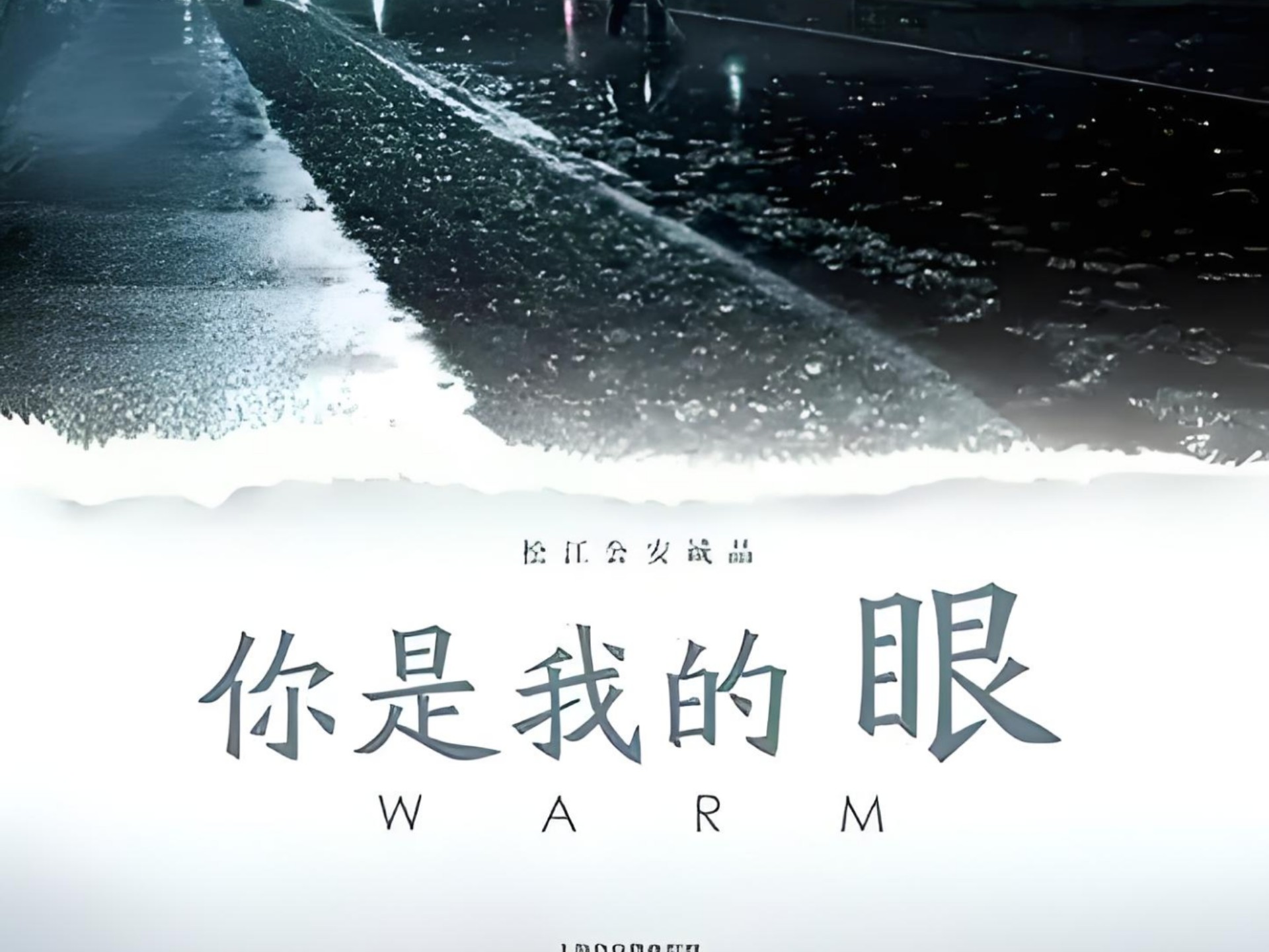 我是你的眼剧情介绍,我是你的眼剧情介绍分集