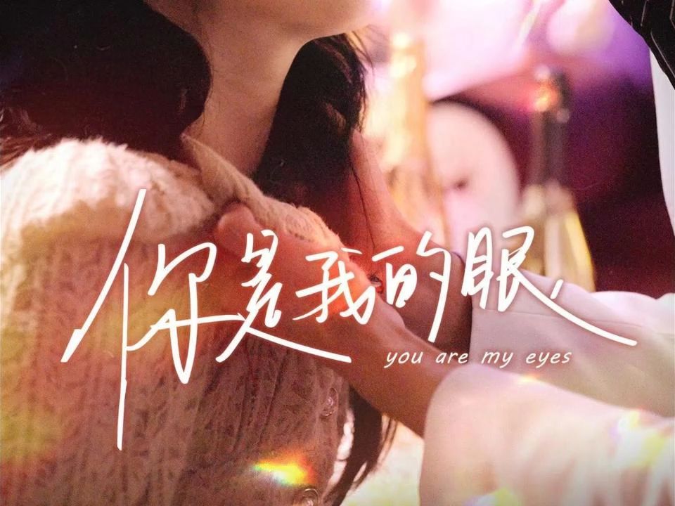我是你的眼剧情介绍,我是你的眼剧情介绍分集