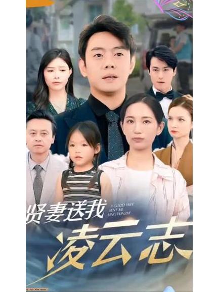贤妻剧情介绍,傲骨贤妻剧情介绍